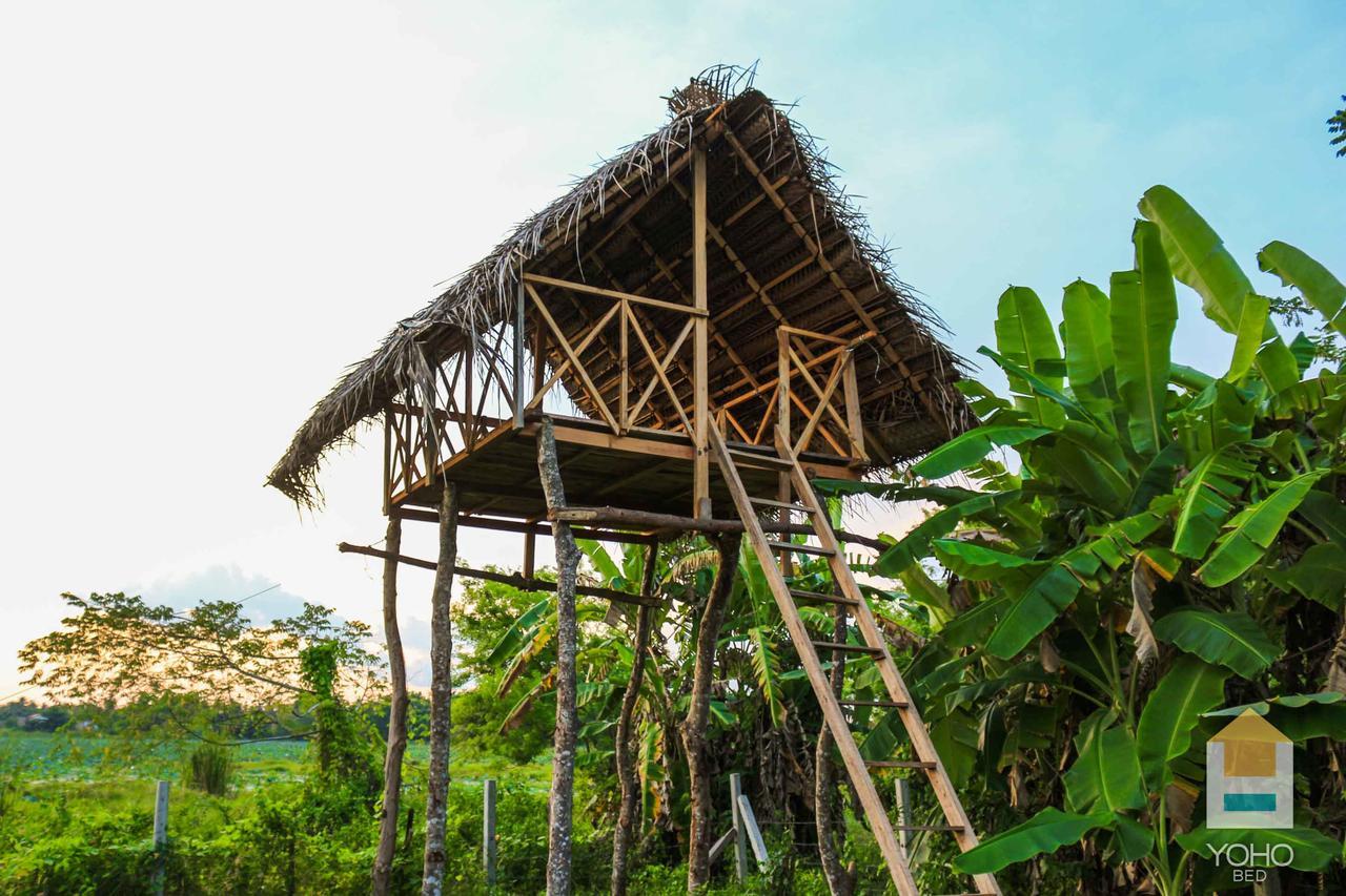 D Family Resort Anuradhápura Exteriér fotografie